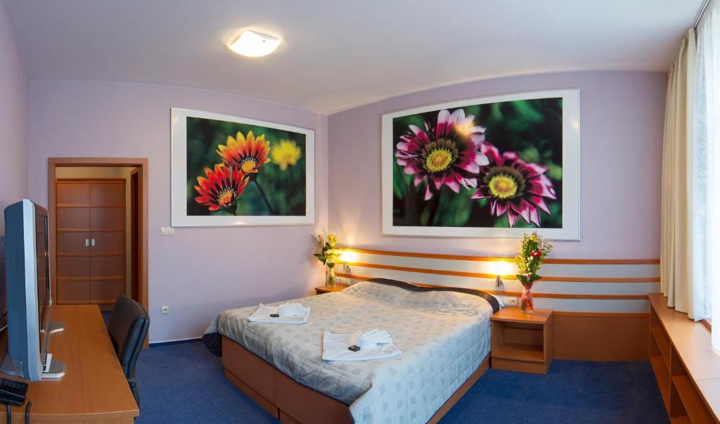Hotel Air Holíč Værelse billede